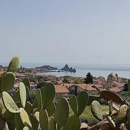 Sara Casa Acitrezza *