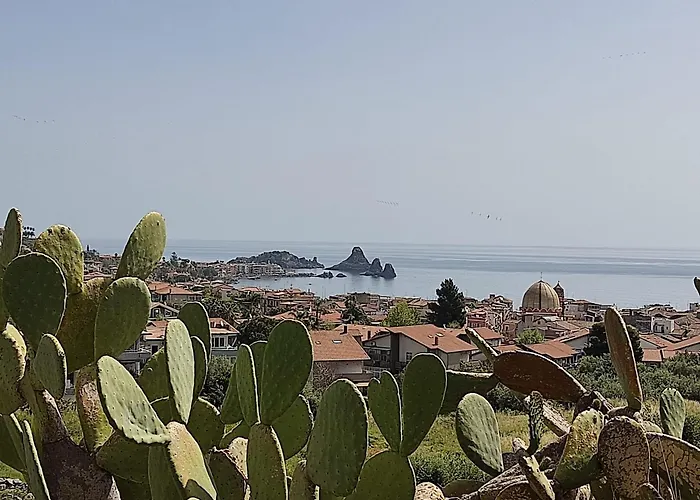 Sara Casa Acitrezza *